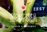 Feel the Zest: Energy Tea Review and Giveaway