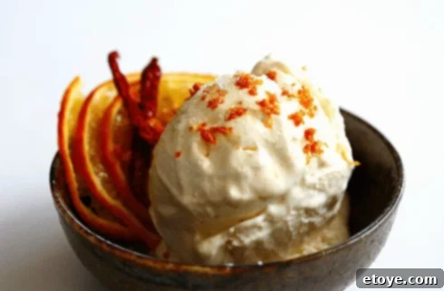 Sweet Heat Orange Ricotta Frozen Yogurt 1 featured 124