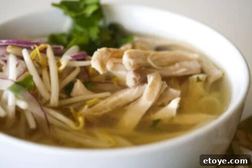 Pho Ga Vietnamese Chicken Noodle Comfort 1 featured 139