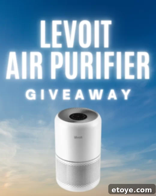 Breathe Healthier: Air Purifier Giveaway 1 featured 141352
