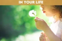 Cultivating Constant Joy