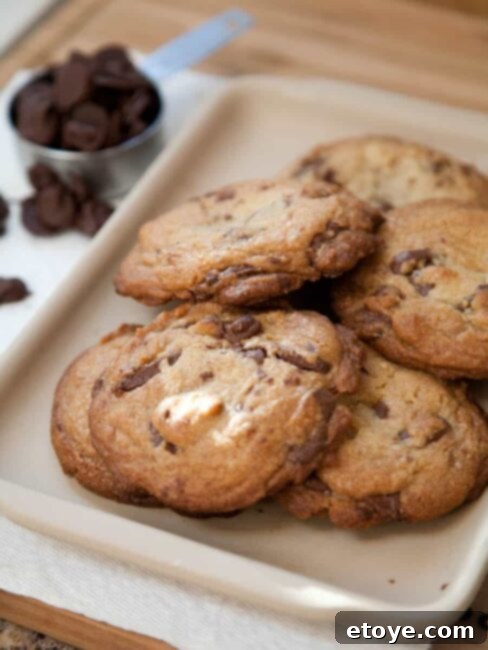 Double Nutella Chip Cookies 1 featured 14614