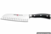 Win a Wusthof Classic Ikon Santoku Knife