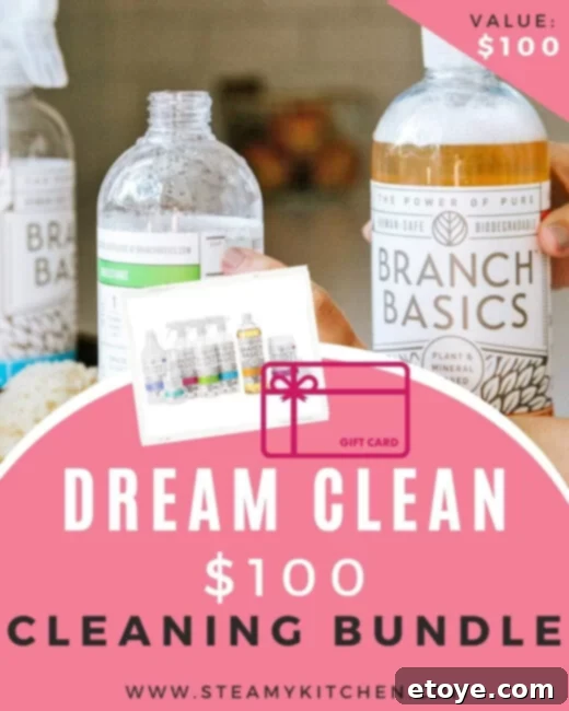 Dream Clean 100 Home Cleaning Bundle 1 featured 171519
