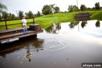 Gifts from the Storm