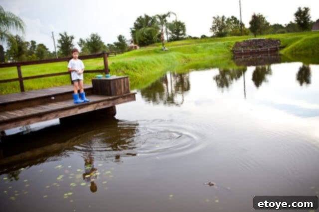 Gifts from the Storm 1 featured 17755