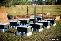 Smart Gardening with Earthboxes