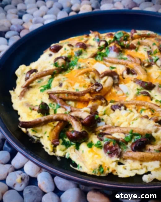 Savory Chestnut Mushroom Omelette 1 featured 194115