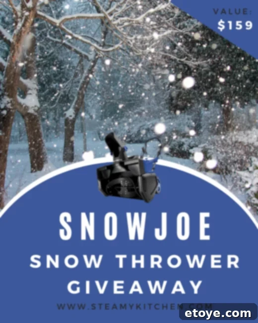 Win a Snow Joe Snow Thrower 1 featured 196287