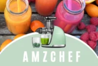 Win an AmzChef Juice Extractor