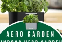 Win an AeroGarden Indoor Herb Garden
