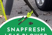 SnapFresh Leaf Blower Giveaway