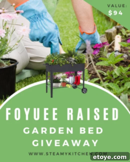 Win a FOYUEE Raised Garden Planter 1 featured 201398