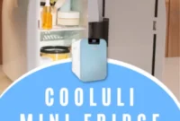 Score Your Own Cooluli Mini Fridge