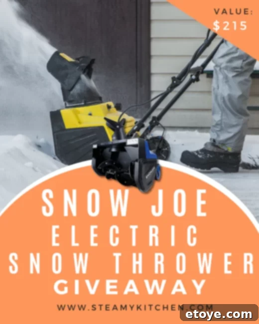 Snow Joe Electric Snow Thrower Sweepstakes 1 featured 205938