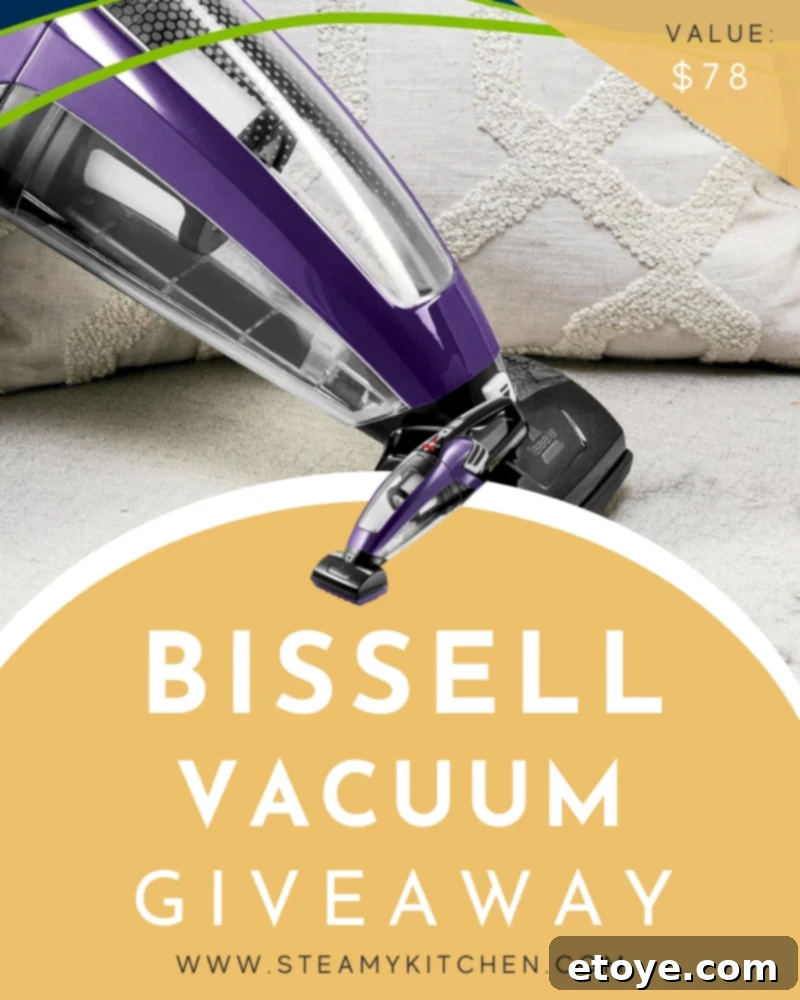 Win a Bissell Handheld Vacuum 1 featured 206988