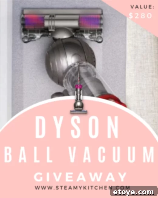 Score a Dyson Ball Vacuum 1 featured 207214