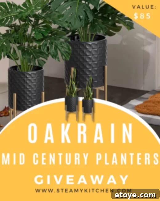 Win Oakrain Mid Century Indoor Planters 1 featured 207314