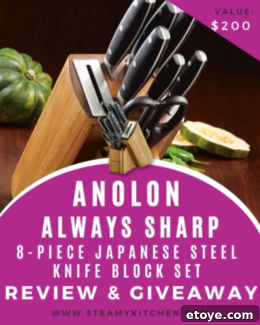Anolon AlwaysSharp 8 Piece Japanese Steel Knife Block Set In Depth Review and Giveaway 1 featured 207657