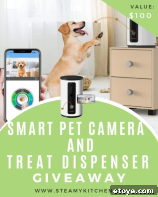Win a WOPET Smart Pet Camera and Treat Dispenser 1 featured 208172