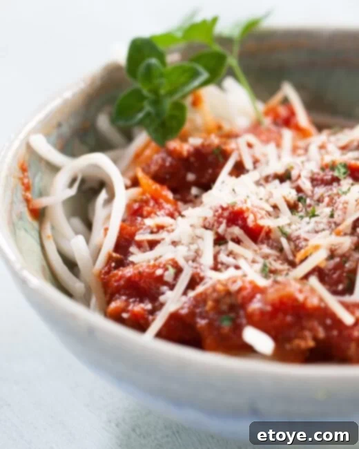 Gourmet Hearts of Palm Linguini & Signature Spaghetti Sauce 1 featured 208559