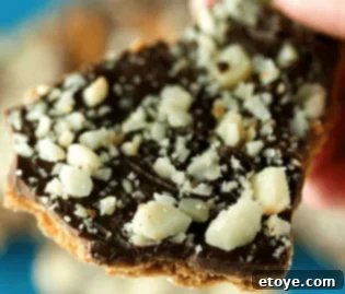 Decadent Dark Chocolate Toffee Macadamia Bark 1 featured 239