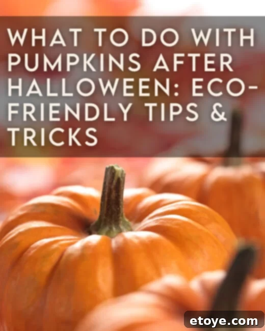 Creative Ways to Use Pumpkins After Halloween 1 featured 239897