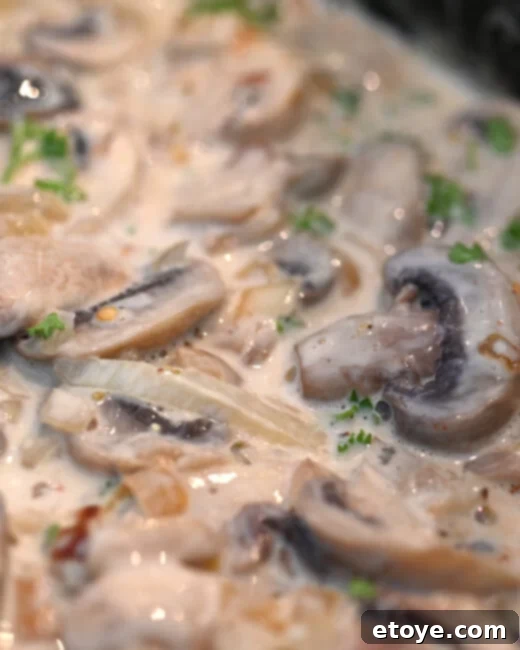 Velvet Boozy Mushroom Sauce 1 featured 240247