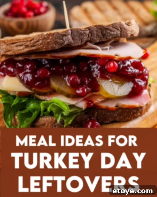 Thanksgiving Leftover Transformations 1 featured 241768