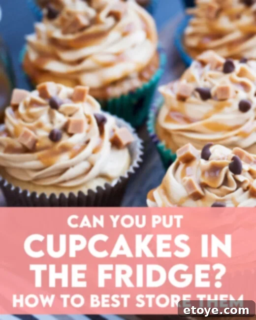 Fridge or Counter The Ultimate Cupcake Storage Guide 1 featured 242944
