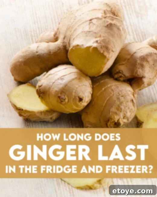 Ginger Freshness Fridge and Freezer Storage 1 featured 243187