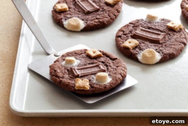 Campfire Chocolate Cake Cookies 1 featured 24350