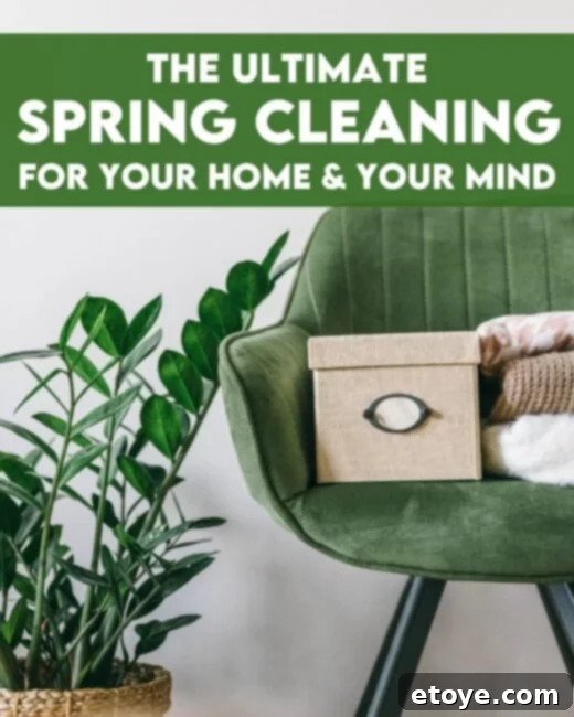 Spring Cleaning: Transform Your Home, Revitalize Your Mind 1 featured 243999
