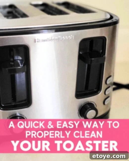 Get a Spotless Toaster Fast and Effortlessly 1 featured 248513