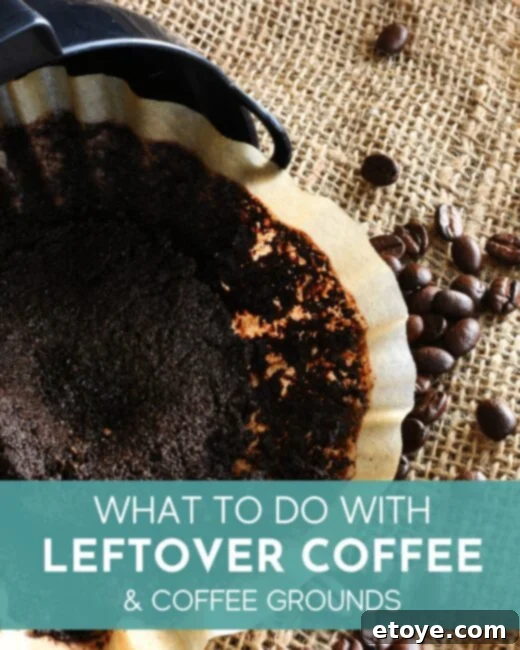 Beyond the Mug: Smart Uses for Coffee and Grounds 1 featured 248531