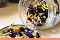 Loose Leaf Tea Shelf Life