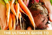 The Ultimate Guide to Fall Vegetables