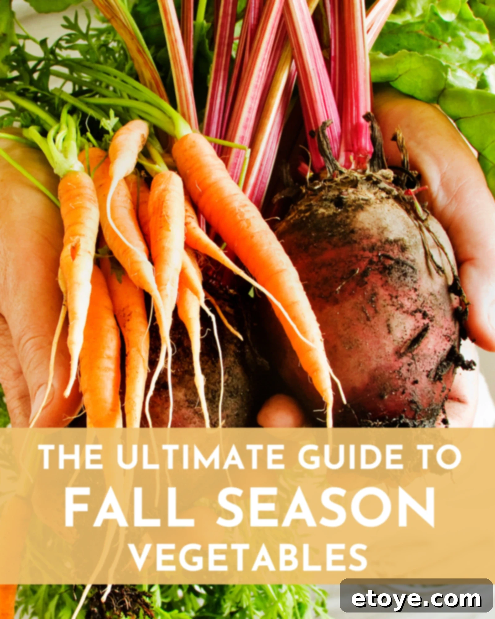 The Ultimate Guide to Fall Vegetables 1 featured 249160