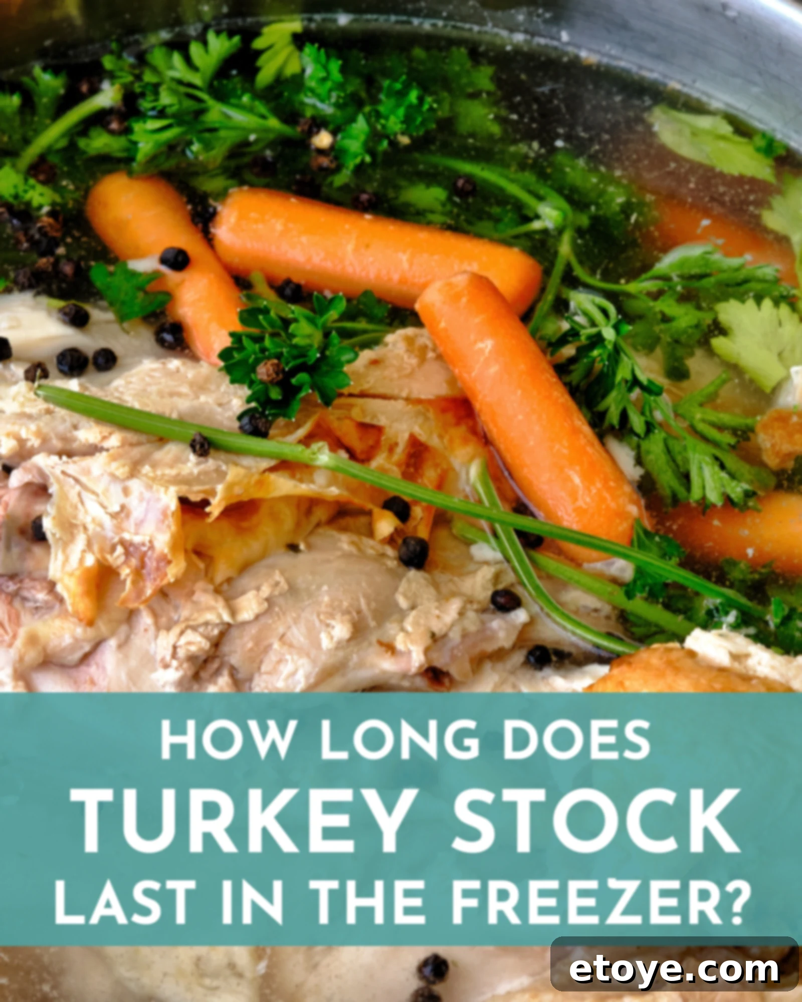 Mastering the Freezer Life of Your Turkey Stock 1 featured 249617