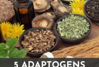 5 Overlooked Adaptogens You Should Discover