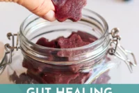 Blueberry Lemon Gut Healing Gummies