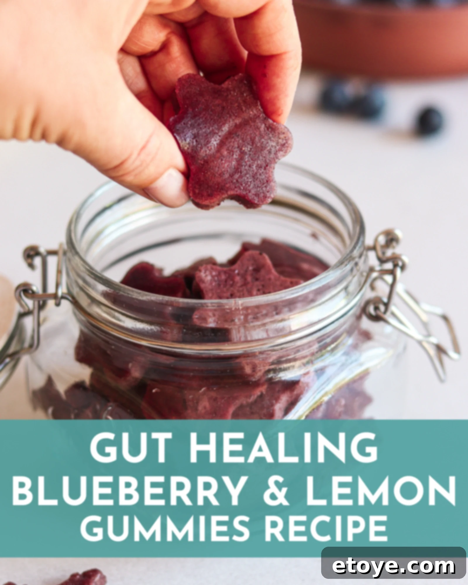 Blueberry Lemon Gut Healing Gummies 1 featured 251395