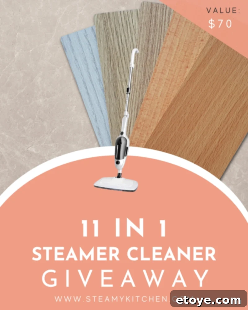 Ultimate 11 in 1 Steamer Cleaner Giveaway 1 featured 253159