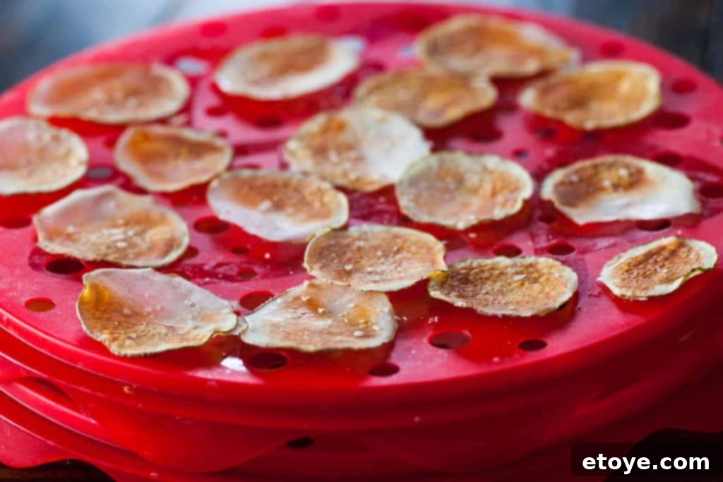 The Mastrad TopChips Maker: Crispy Chips, No Fuss 1 featured 28411