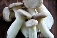 Umami Rich Japanese Mushroom Cuisine