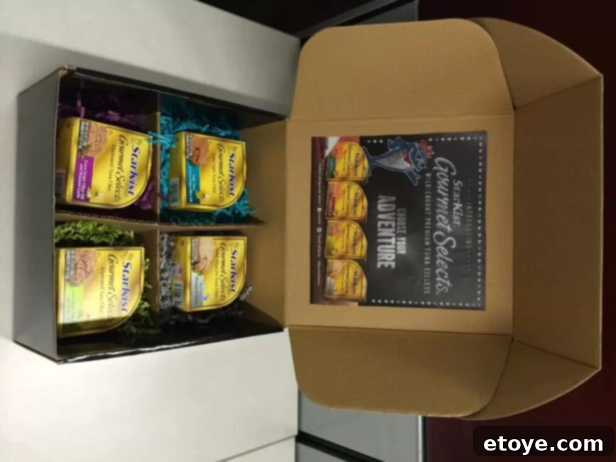 Win the StarKist Everyday Gourmet Box with New Gourmet Tuna Fillets 1 featured 33714