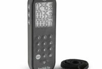 Giveaway: ThermoWorks TIMESTICK TRIO