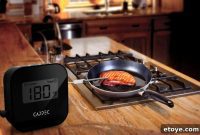 Cappec Bluetooth BBQ Thermometer Review and Giveaway
