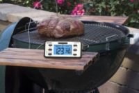Taylor USA Smart Thermometer Review and Giveaway