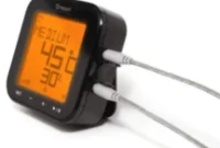 Master Your Grill with the Oregon Scientific Grill-Right Bluetooth Thermometer And Win One